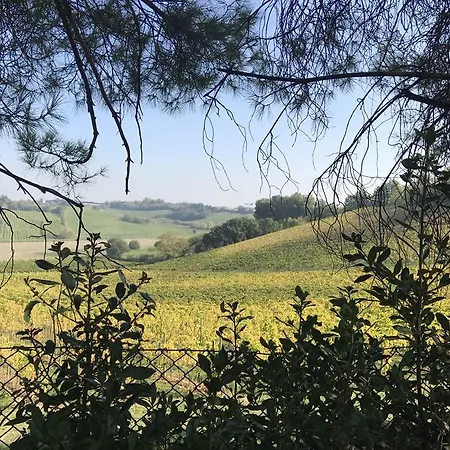 Gradisca Гостевой дом